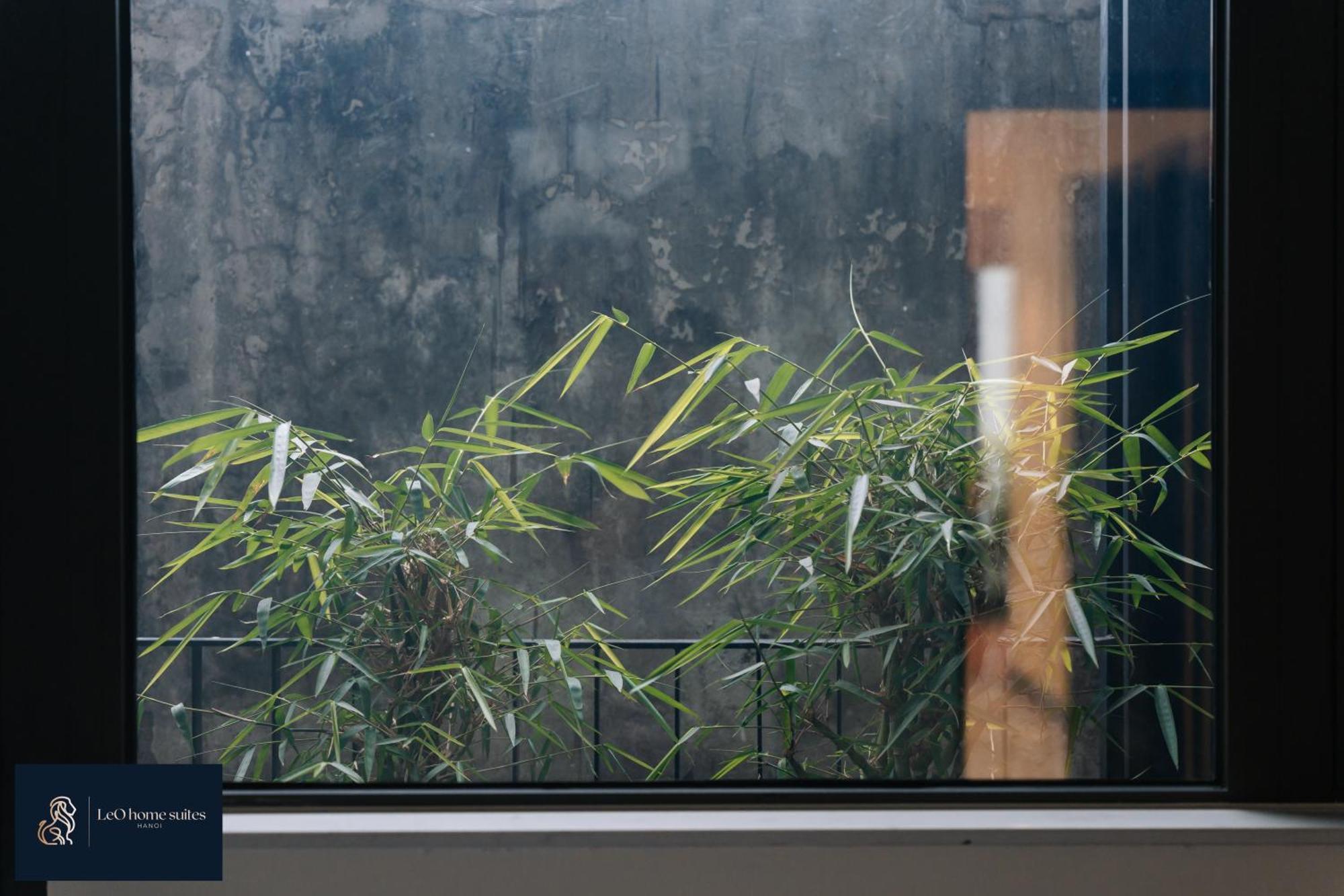 Home Suites -Natural Light -Projector -Spacious - 2Br Incenter Hanoi Eksteriør billede