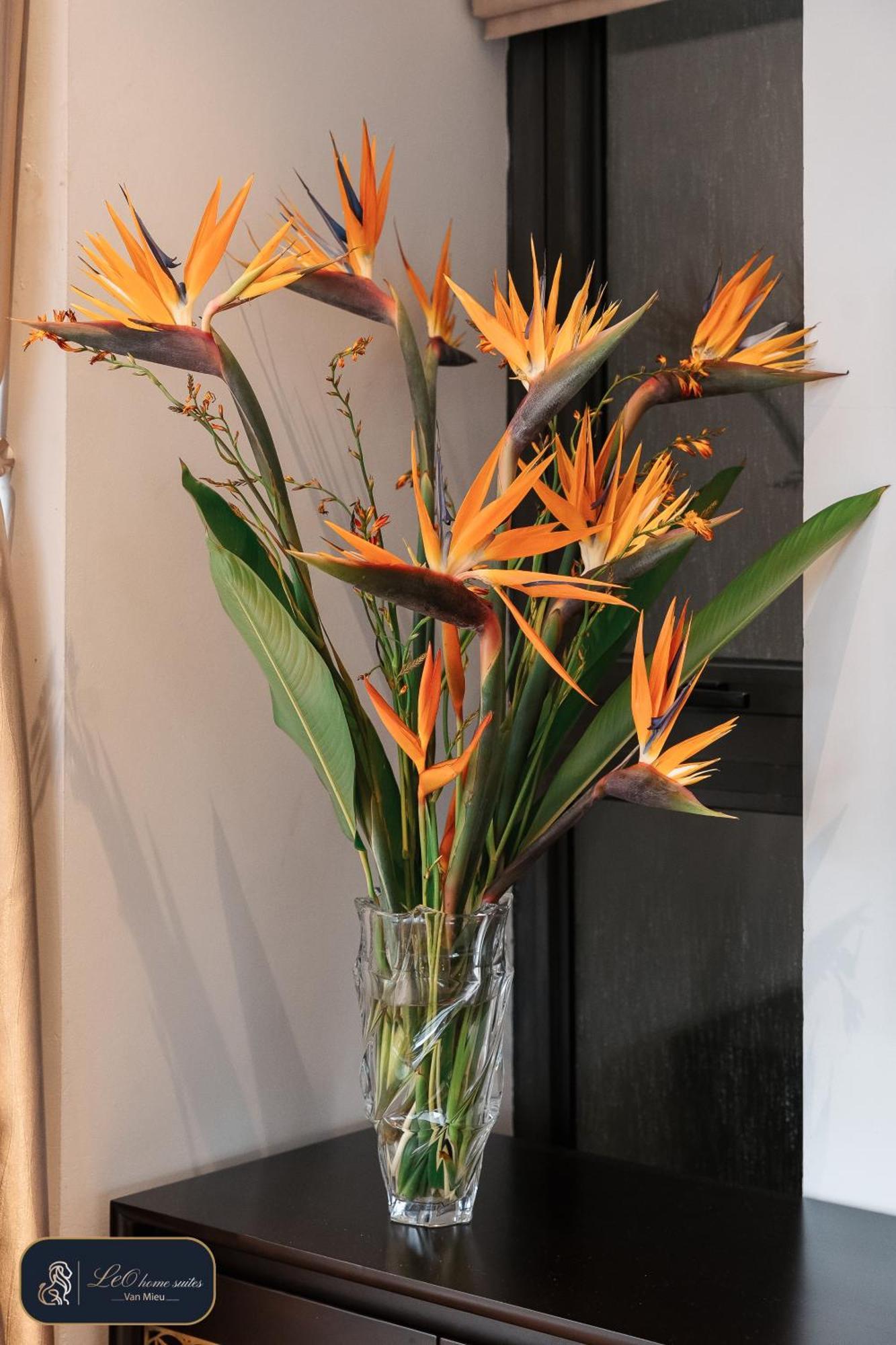 Home Suites -Natural Light -Projector -Spacious - 2Br Incenter Hanoi Eksteriør billede