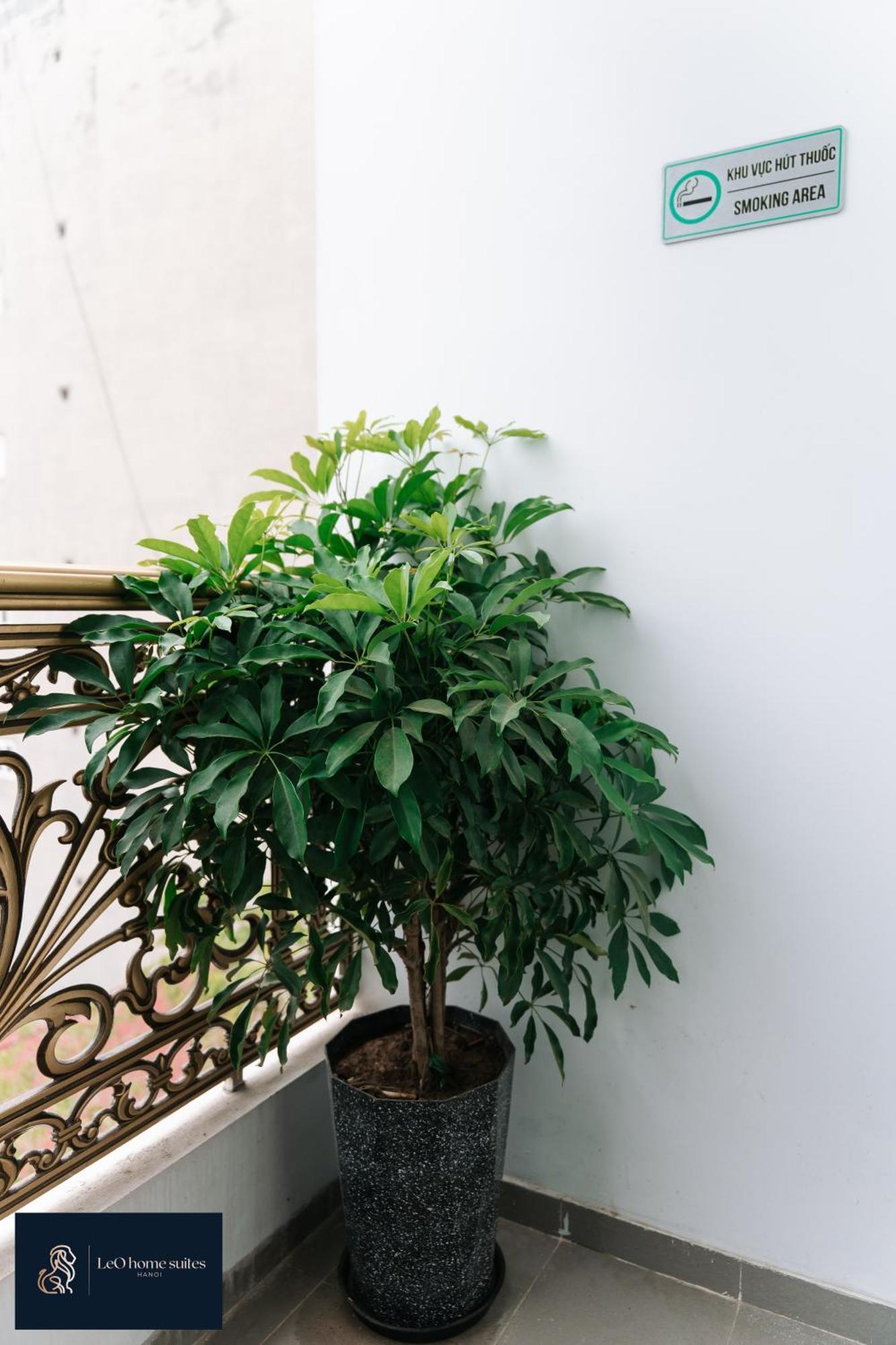 Home Suites -Natural Light -Projector -Spacious - 2Br Incenter Hanoi Eksteriør billede